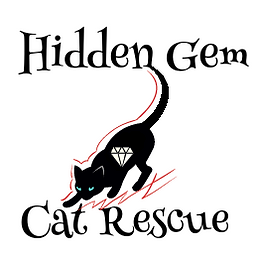 Hidden Gem Cat Rescue