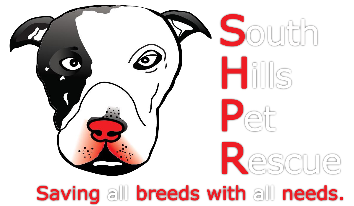 South Hills Pet Rescue