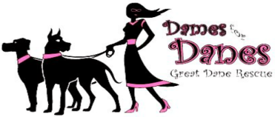 Dames For Danes Great Dane Rescue