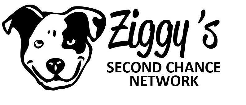 Ziggy's Second Chance Network
