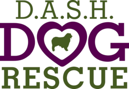 D.a.s.h. Dog Rescue (dallas Australian Shepherd And Herding Dog Rescue)