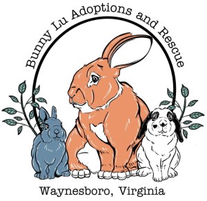 Bunny Lu Adoptions