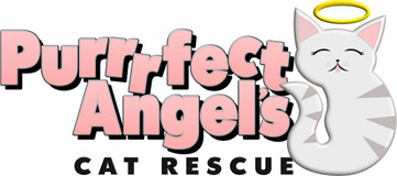 Purrrfect Angels Cat Rescue Inc.