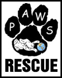 Paws Rescue Group