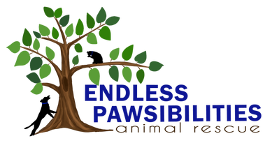 Endless Pawsibilities Animal Rescue