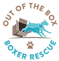 Out Of The Box Boxer Rescue