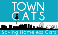 Town Cats