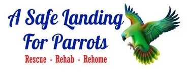 A Safe Landing For Parrots