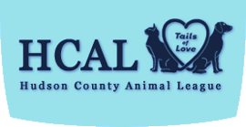 Hudson County Animal League (hcal)