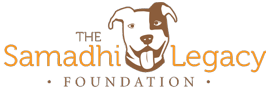 The Samadhi Legacy Foundation