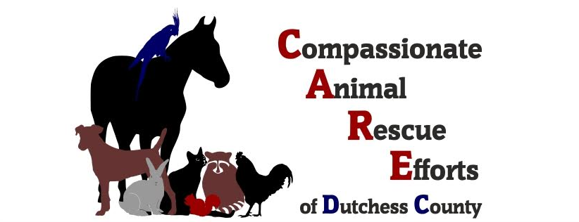 Compassionate Animal Rescue Efforts Of Dutchess County