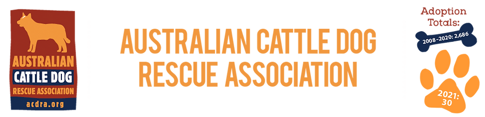 Australian Cattle Dog Rescue Association, Inc.
