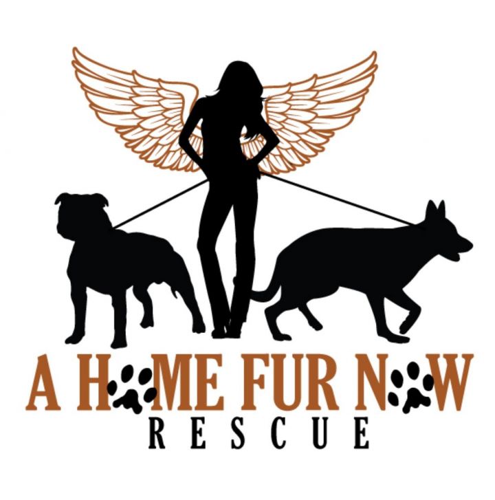 A Home Fur Now Rescue, Inc