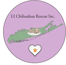 Li Chihuahua Rescue, Inc.