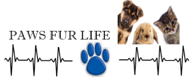 Paws Fur Life