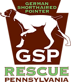 German Shorthaired Pointer Rescue Pa, Inc.