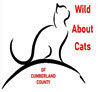 Wild About Cats Of Cumberland County