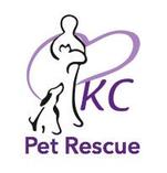 Kc Pet Rescue