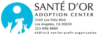 Sante D'or Adoption Center