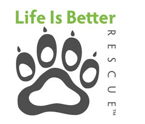 Life Is Better Rescue, Inc.