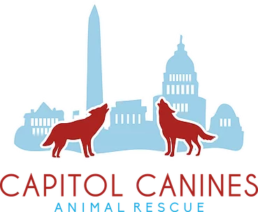 Capitol Canines Animal Rescue