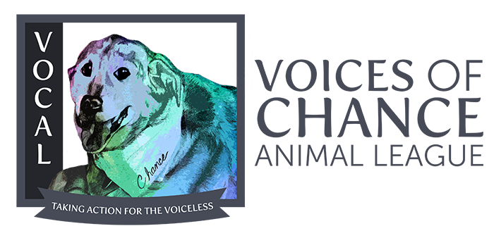 Voices Of Chance Animal League, Inc.