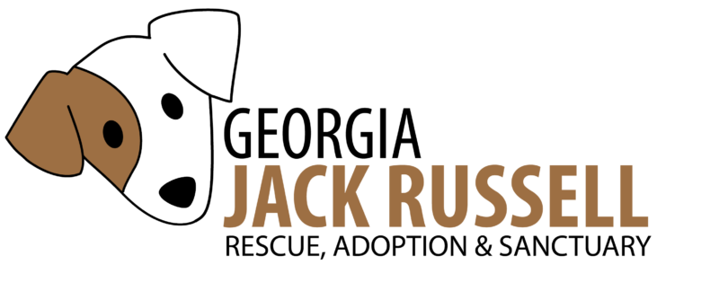 Georgia Jack Russell Rescue, Adoption & Sanctuary