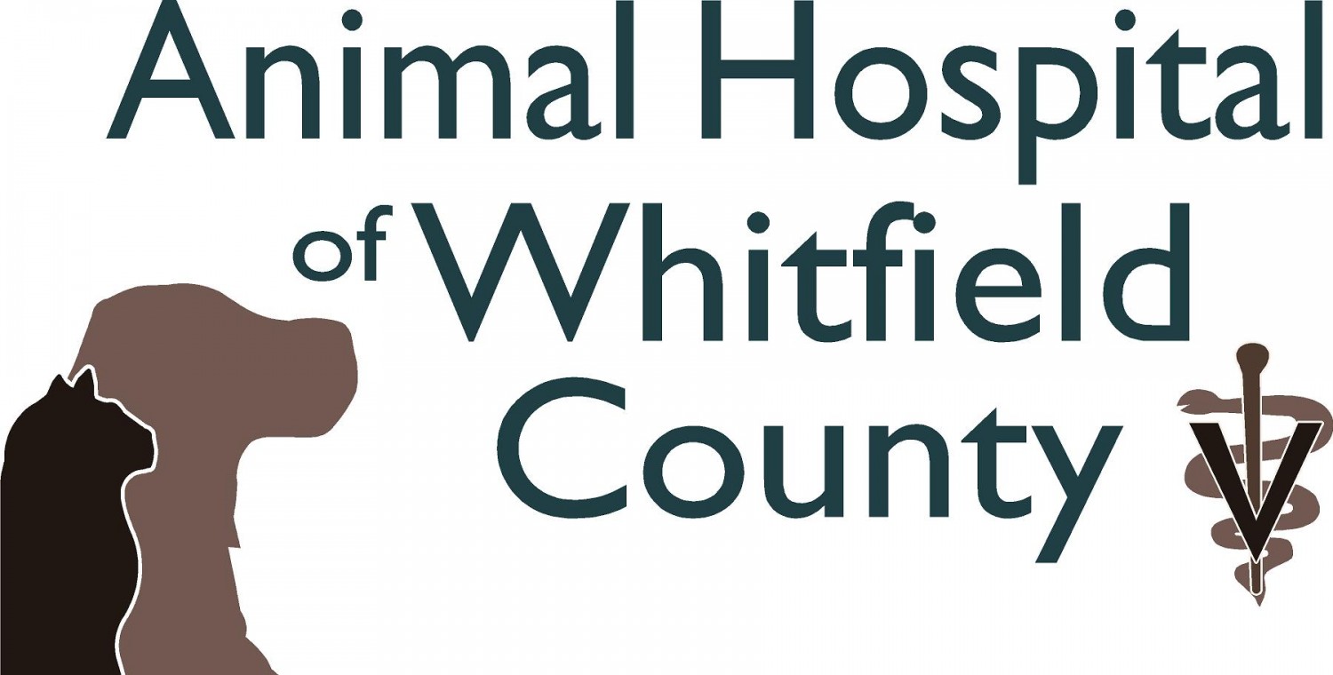 Animal Hospital Of Whitfield County - Adoption