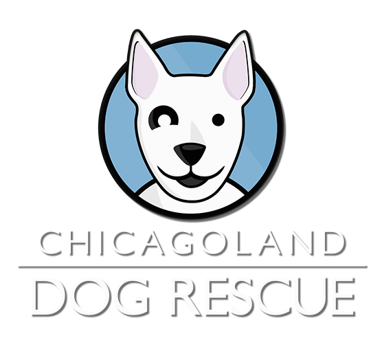 Chicagoland Dog Rescue