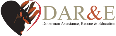 Dar&e Doberman, Assistance, Rescue & Education