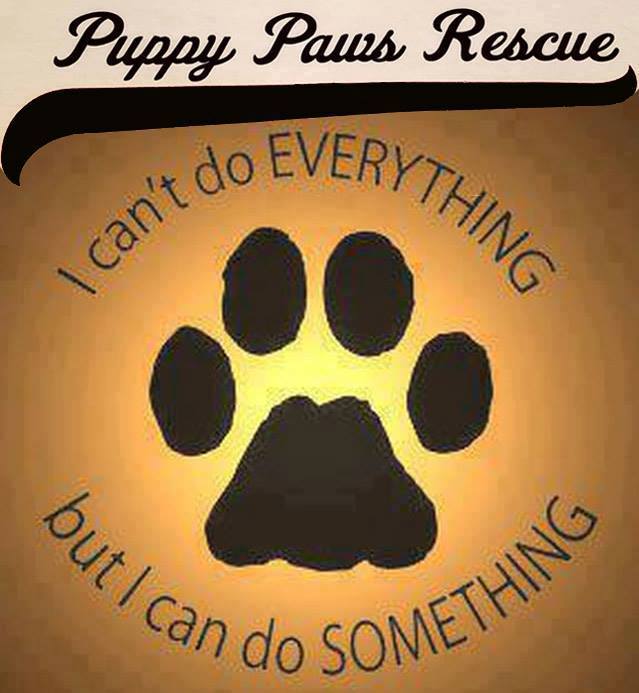 Puppy Paws Rescue