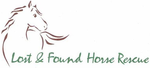Lost And Found Horse Rescue Foundation