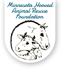 Minnesota Hooved Animal Rescue Foundation