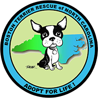 Boston Terrier Rescue Of North Carolina