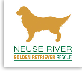 Neuse River Golden Retriever Rescue Inc (nrgrr)