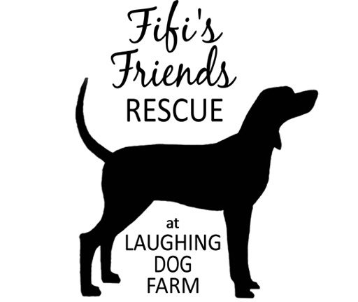 Fifi's Friends Rescue At Laughing Dog Farm