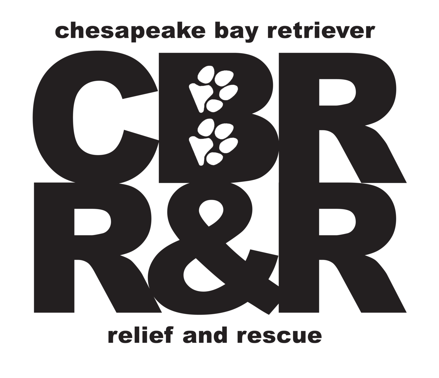Chesapeake Bay Retriever Relief And Rescue - Midwest