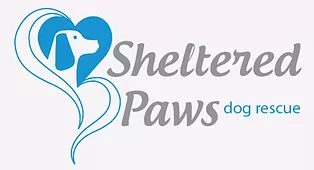Sheltered Paws Dog Rescue