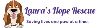 Laura's Hope Rescue