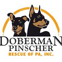 Doberman Pinscher Rescue Of Pa, Inc.
