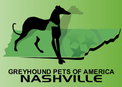 Greyhound Pets Of America Nashville