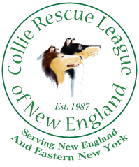 Collie Rescue League Of New England