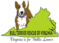 Bull Terrier Rescue Of Virginia (btrva)