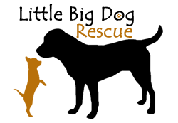Little Big Dog Rescue, Inc.