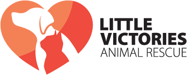 Little Victories Animal Rescue