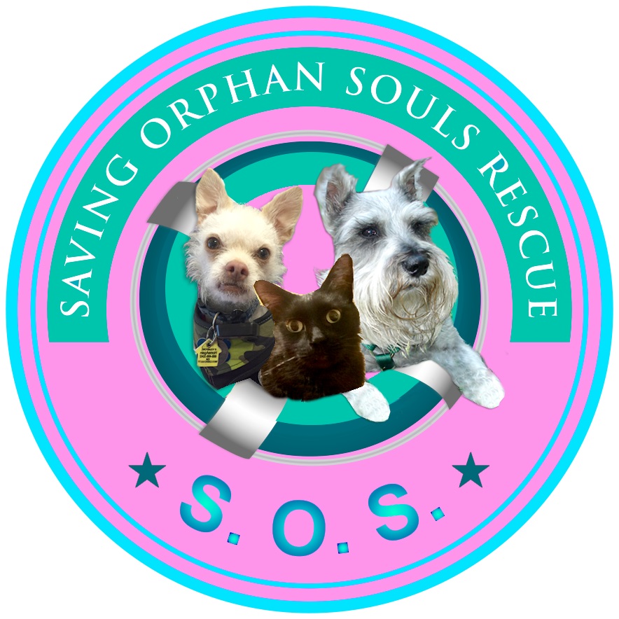 Saving Orphan Souls Rescue (s.o.s.)