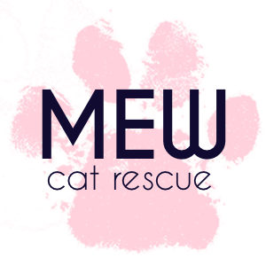 Mew Cat Rescue