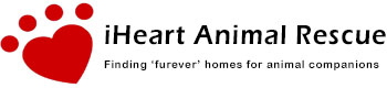 Iheart Animal Rescue