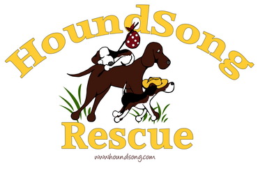Houndsong Rescue