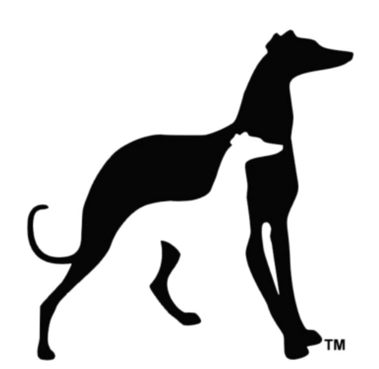 Greyhound Pets Of America - Central Nh Chapter
